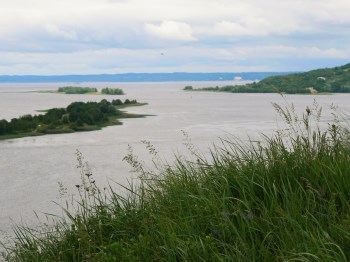 Ржищев